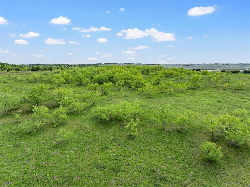 Tbd County Road 462 Property Photo 15