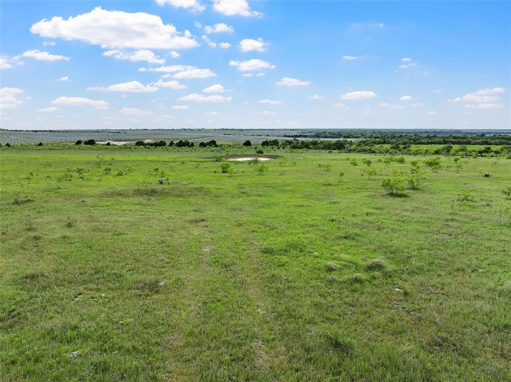 Tbd County Road 462 Property Photo 16