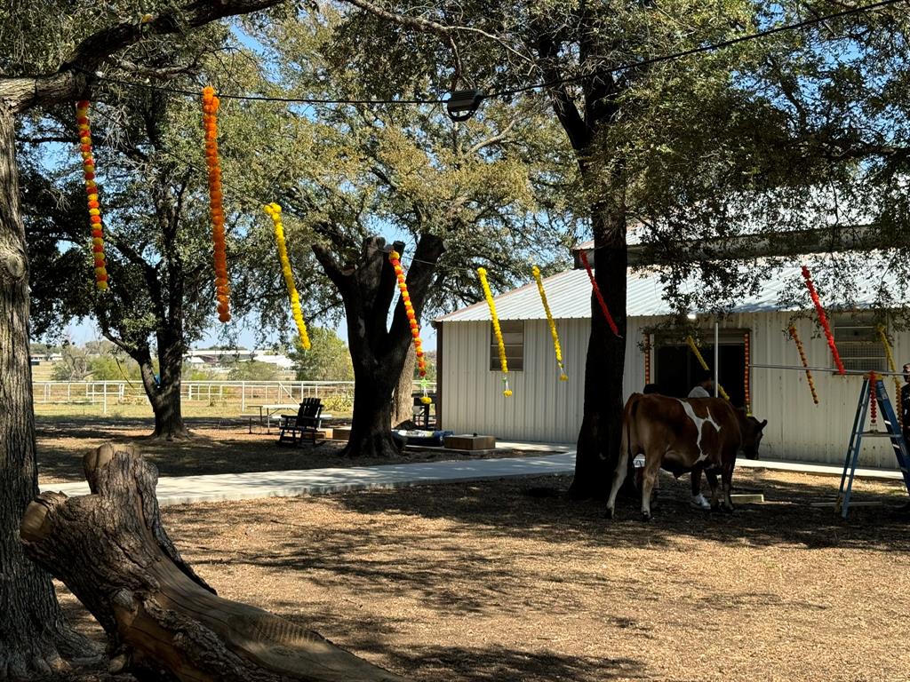 9470 S Highway 377 Property Photo 21