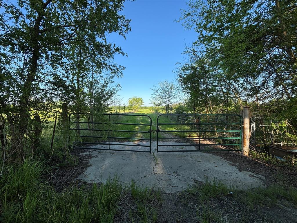 Tbd County Road 14790 Property Photo
