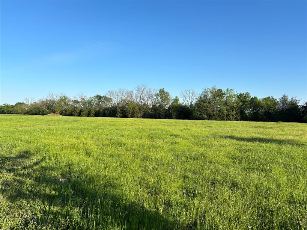 Tbd County Road 14790 Property Photo 6