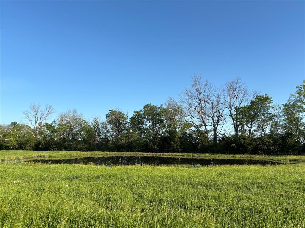 Tbd County Road 14790 Property Photo 7
