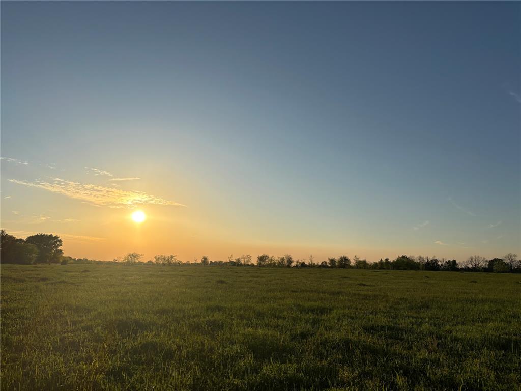 Tbd County Road 14790 Property Photo 8
