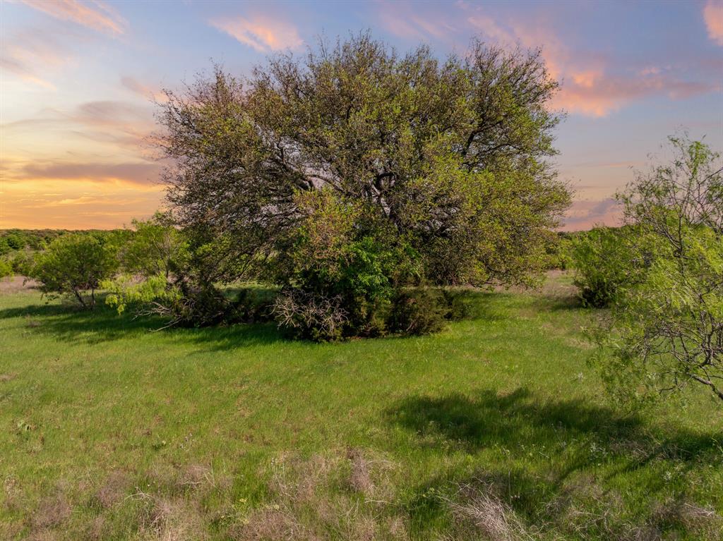 Tbd Fm-2490 Property Photo 4