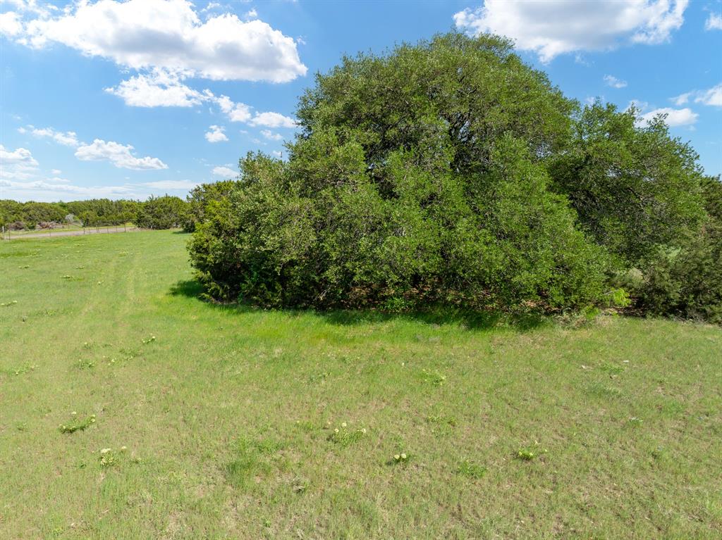 Tbd Fm-2490 Property Photo 9