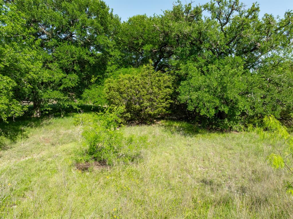 Tbd Fm-2490 Property Photo 11