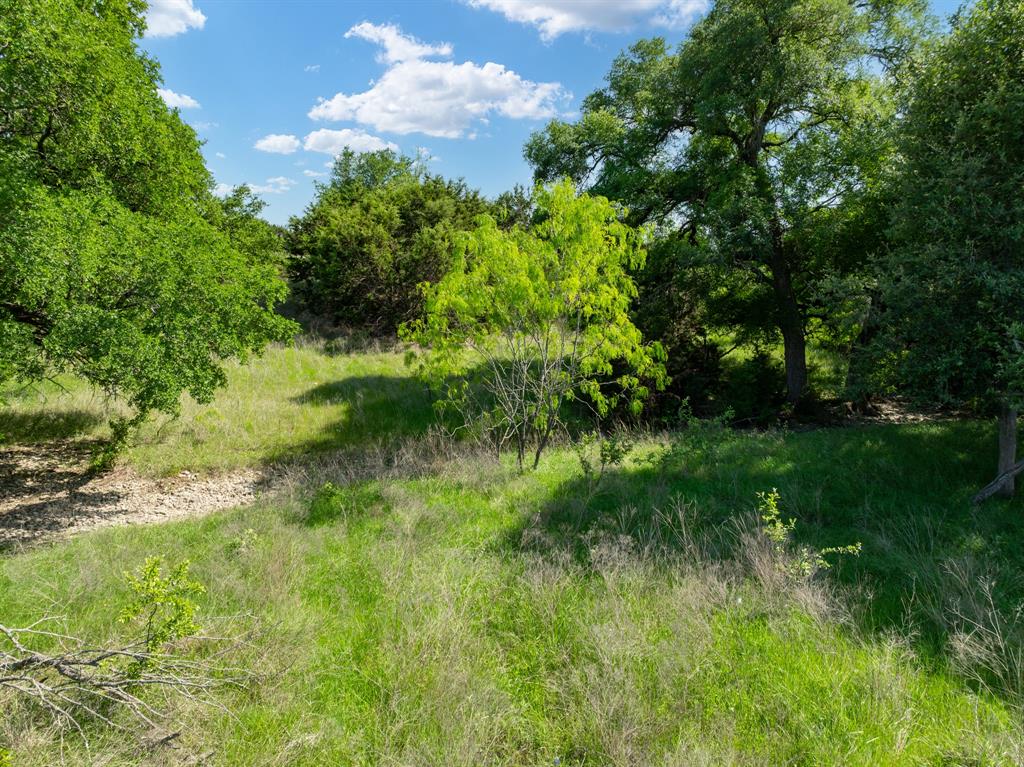 Tbd Fm-2490 Property Photo 12