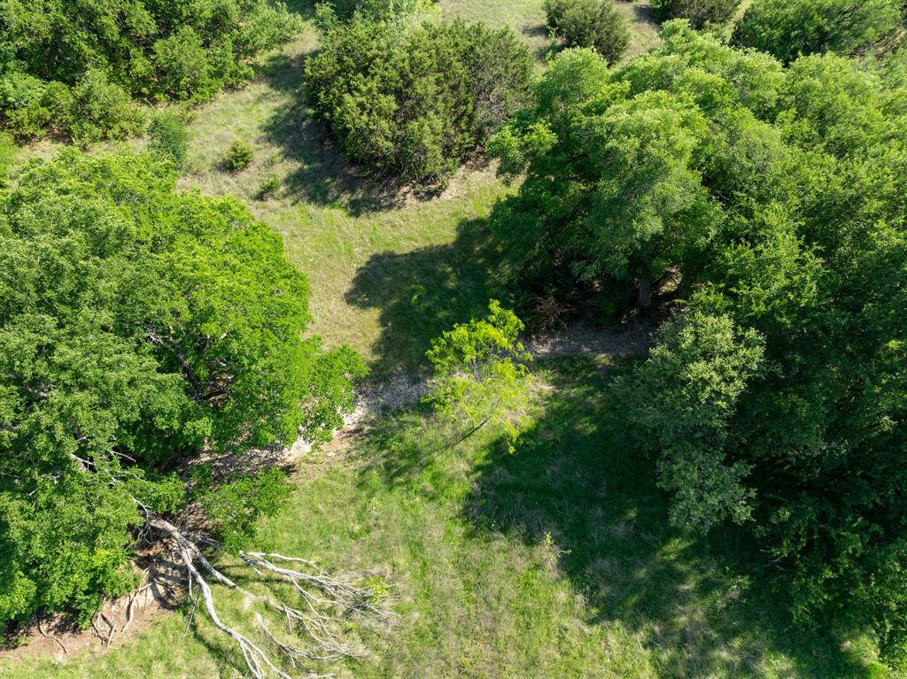 Tbd Fm-2490 Property Photo 13