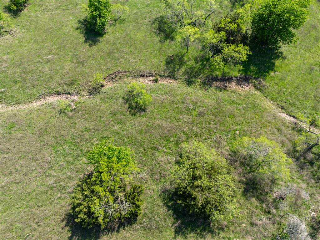 Tbd Fm-2490 Property Photo 17