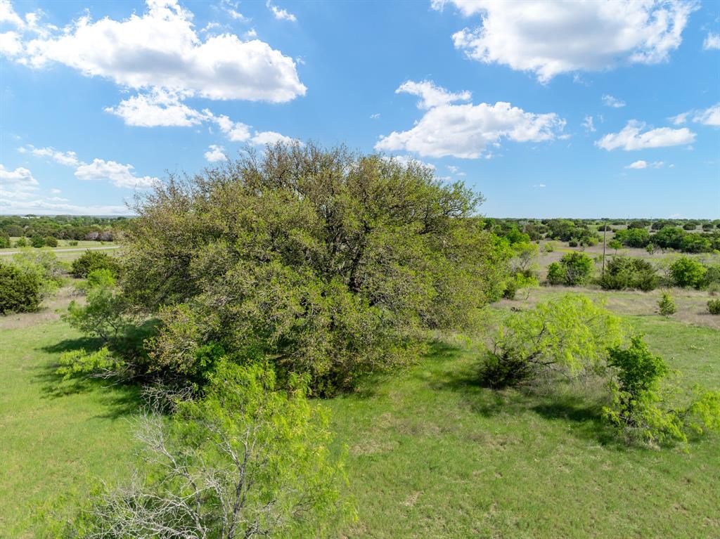 Tbd Fm-2490 Property Photo 23