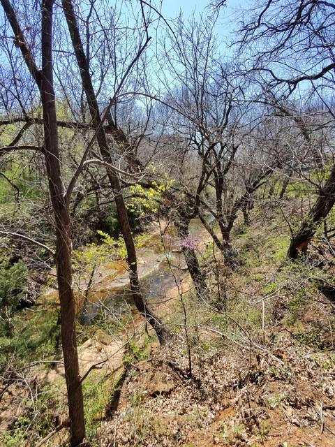 1476 Berne Lane Property Photo 15