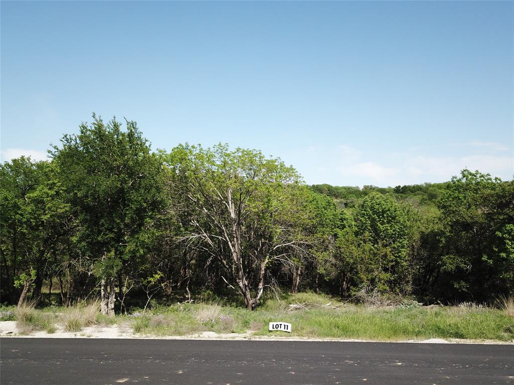 163 Hanna Oak Court Property Photo