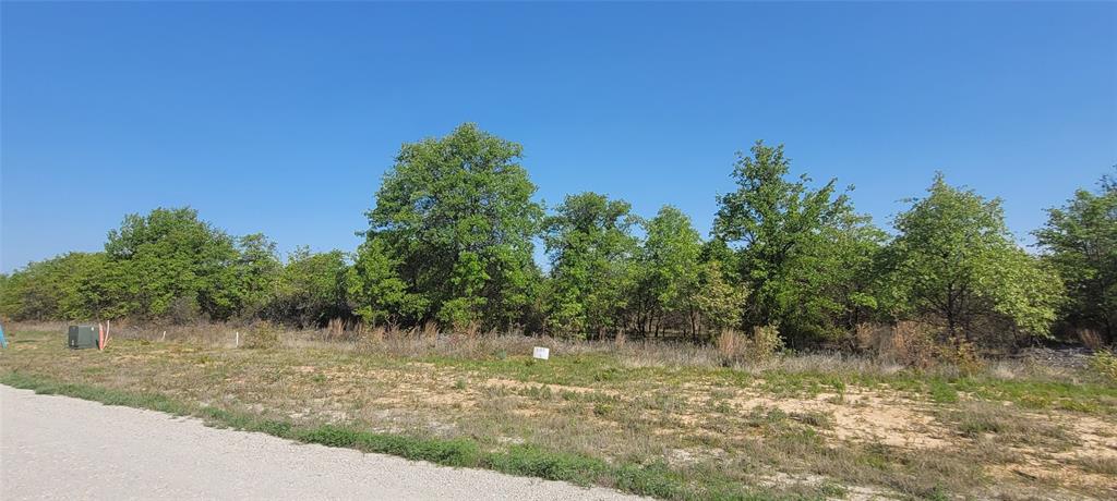 Lot 5 Live Oak Trail Property Photo