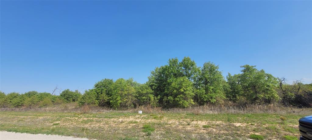 Lot 6 Live Oak Trail Property Photo