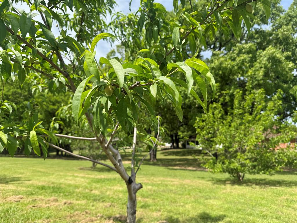1025 Oak Hollow Lane Property Photo 11