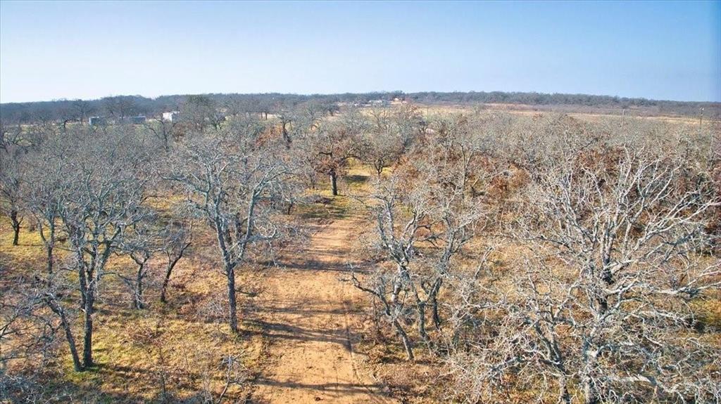 Tbd 11.001 Acres County Road 149 Property Photo 1