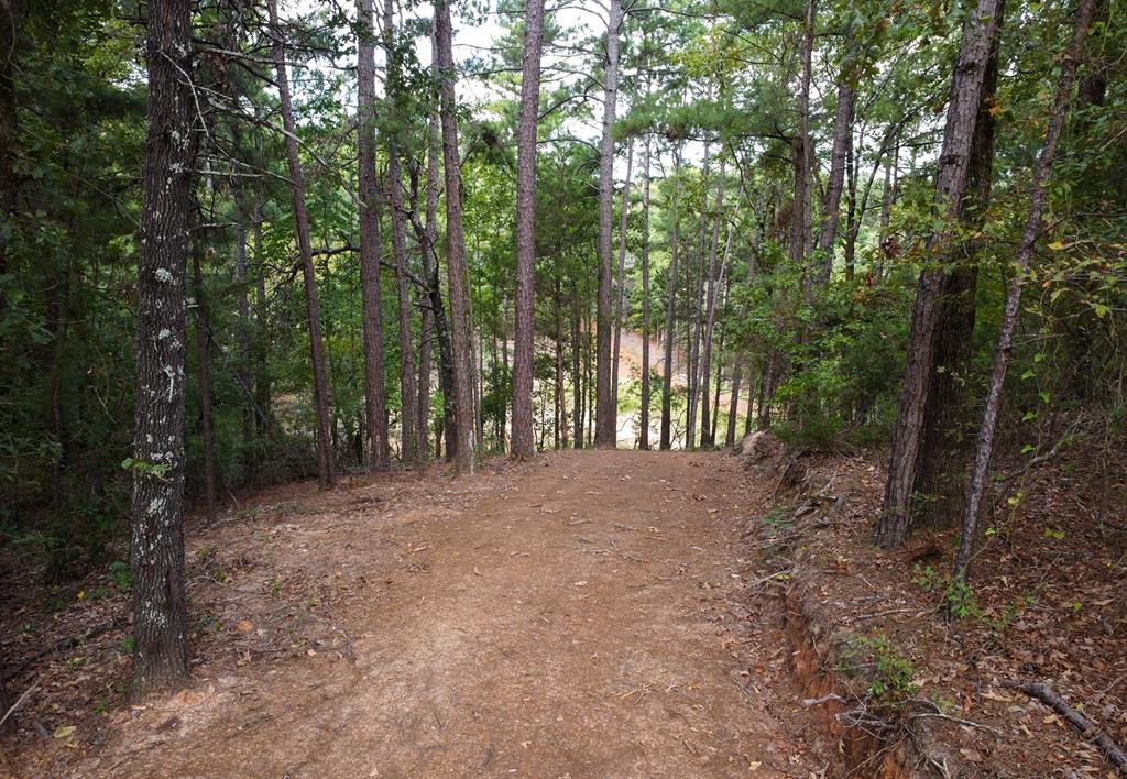 10000 Fm 314 Property Photo 5