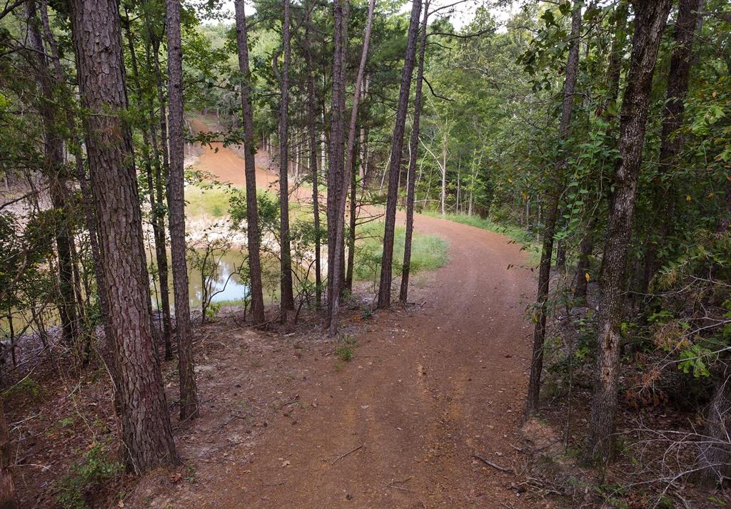 10000 Fm 314 Property Photo 8