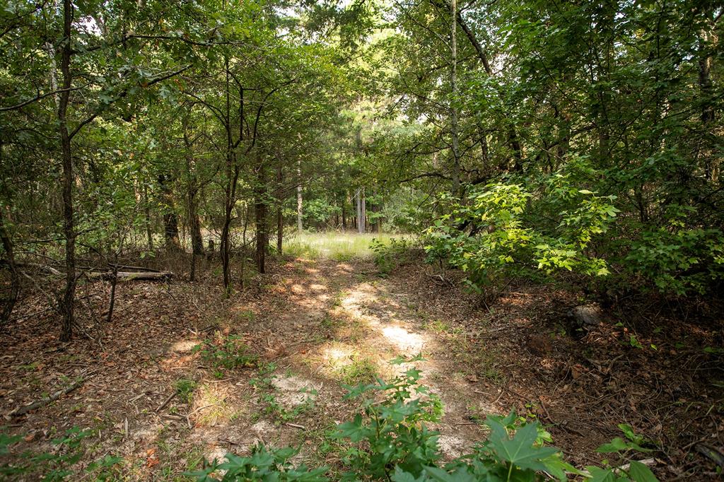 10000 Fm 314 Property Photo 11