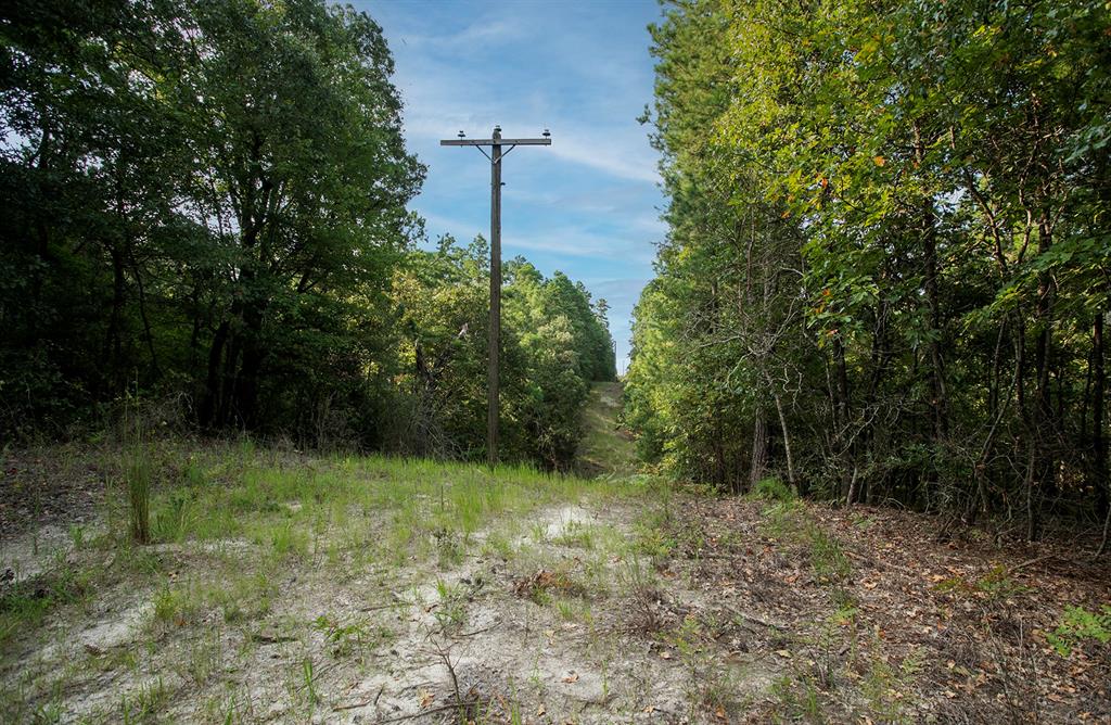 10000 Fm 314 Property Photo 12