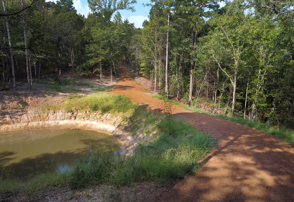 10000 Fm 314 Property Photo 14