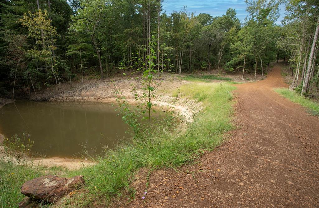 10000 Fm 314 Property Photo 16