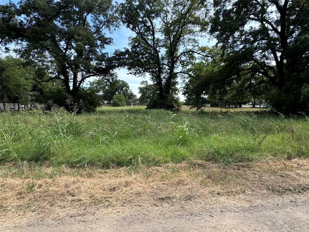 Tbd Farm Road 196 Tract B Property Photo 10