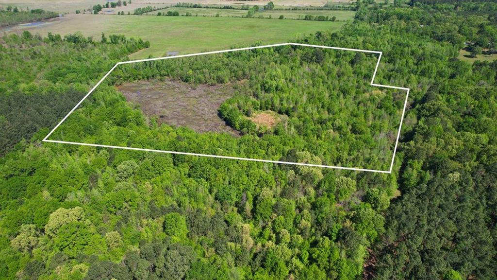 Tbd County Road 1143 Property Photo