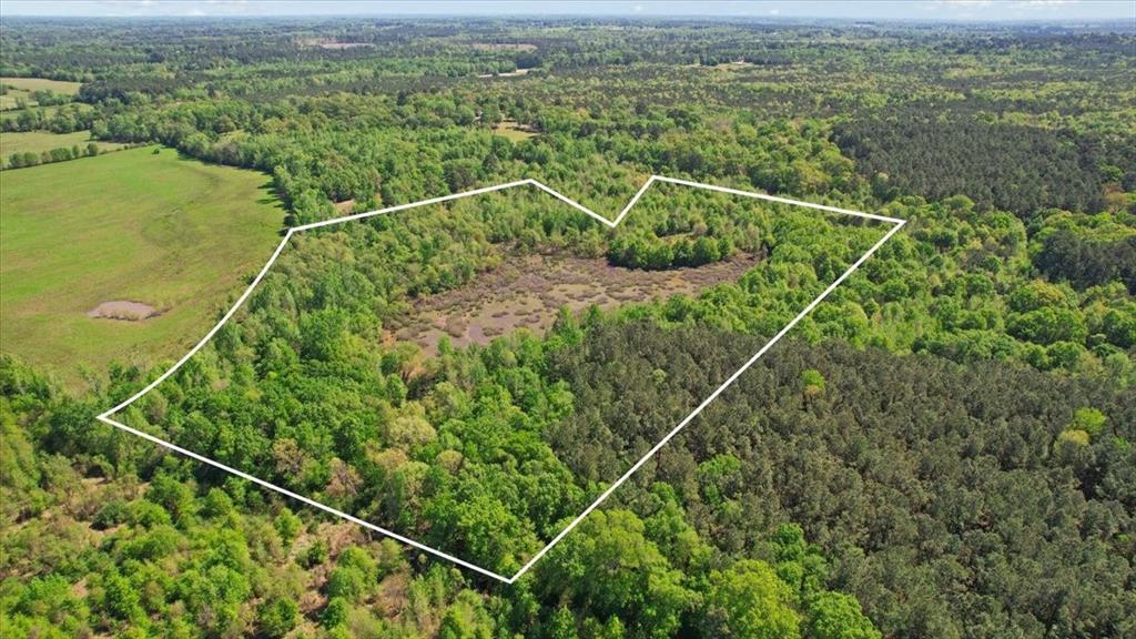 Tbd County Road 1143 Property Photo 3