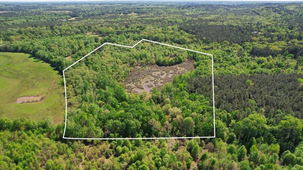 Tbd County Road 1143 Property Photo 4