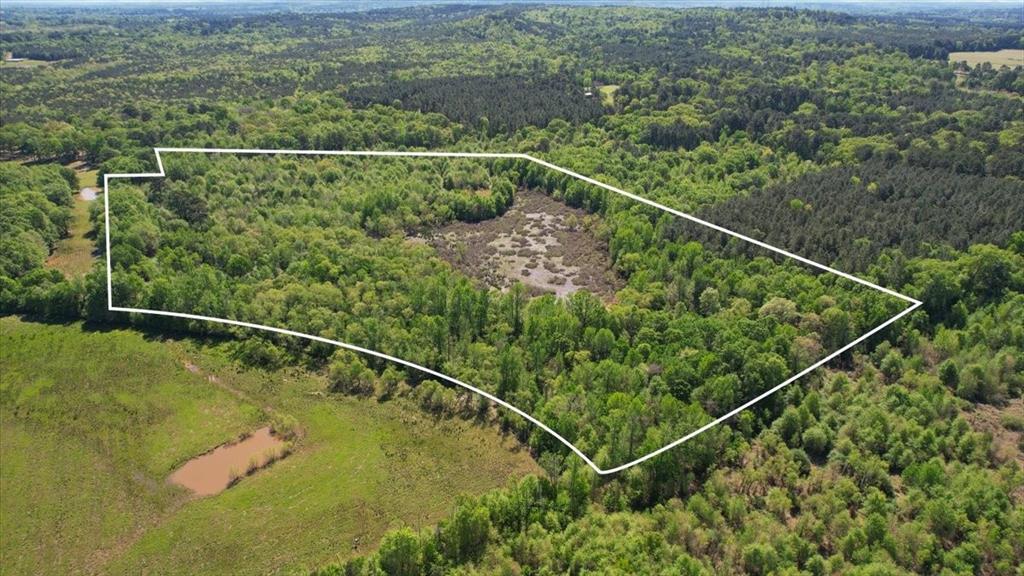 Tbd County Road 1143 Property Photo 5