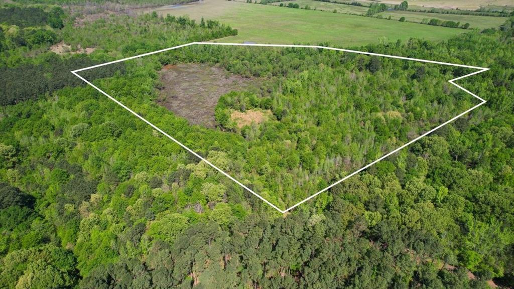 Tbd County Road 1143 Property Photo 6