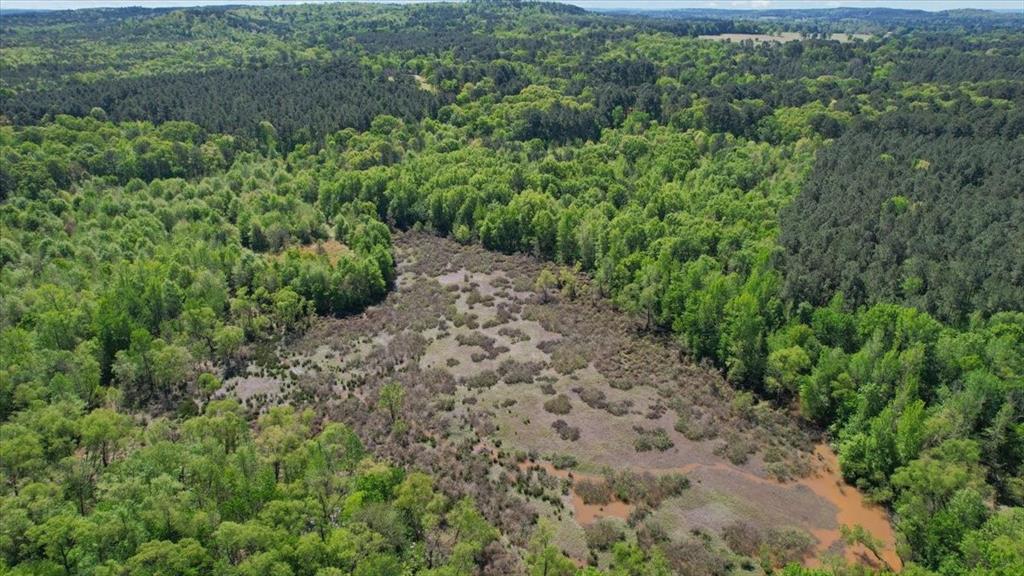 Tbd County Road 1143 Property Photo 8