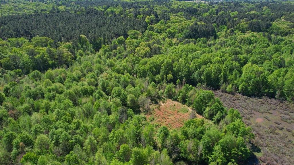 Tbd County Road 1143 Property Photo 9