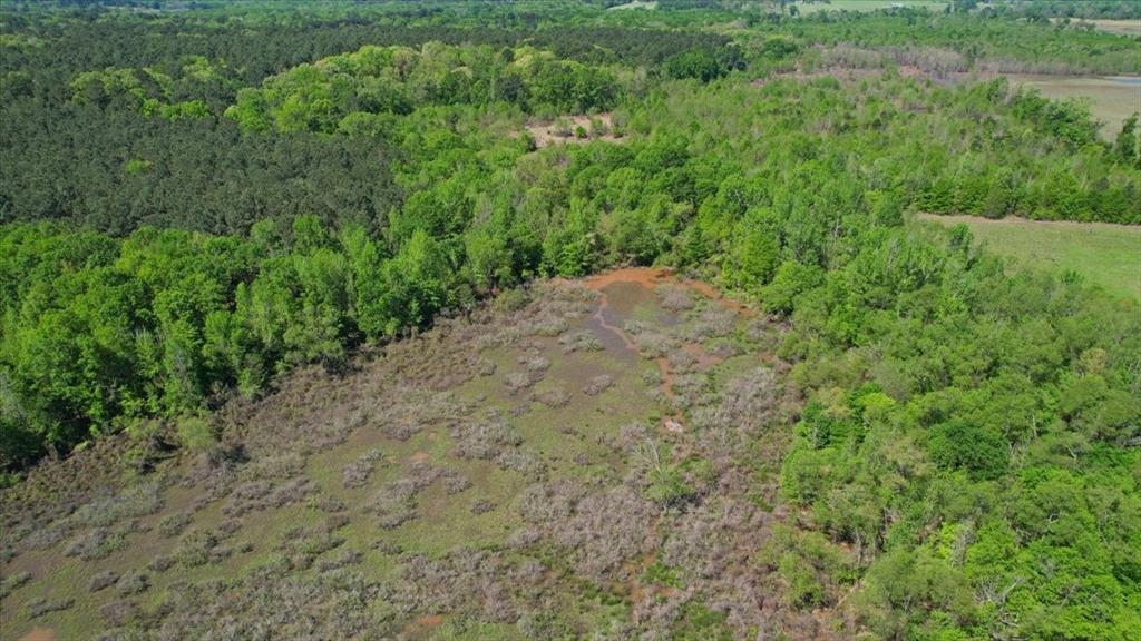 Tbd County Road 1143 Property Photo 10