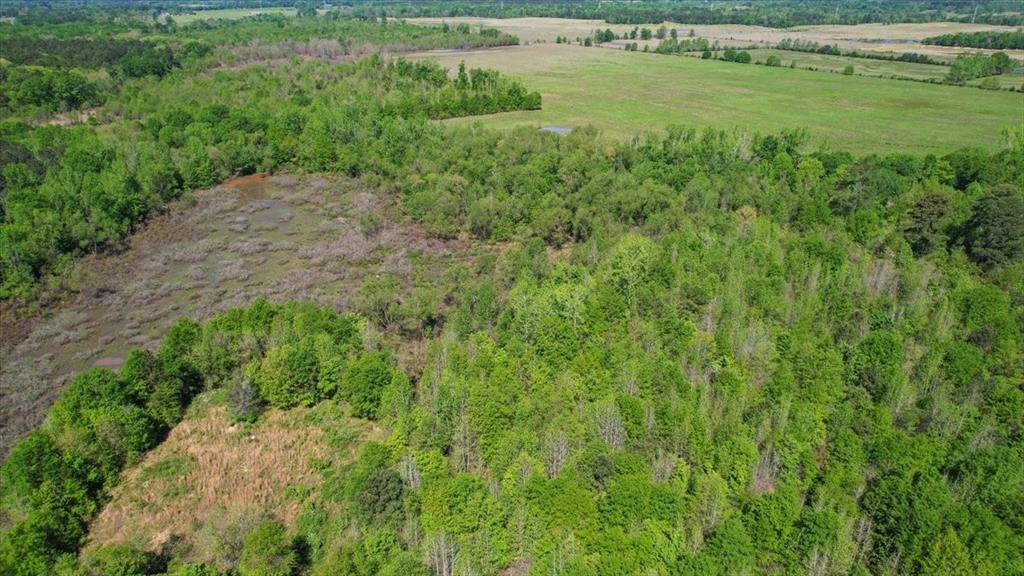 Tbd County Road 1143 Property Photo 11
