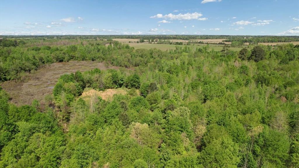 Tbd County Road 1143 Property Photo 12