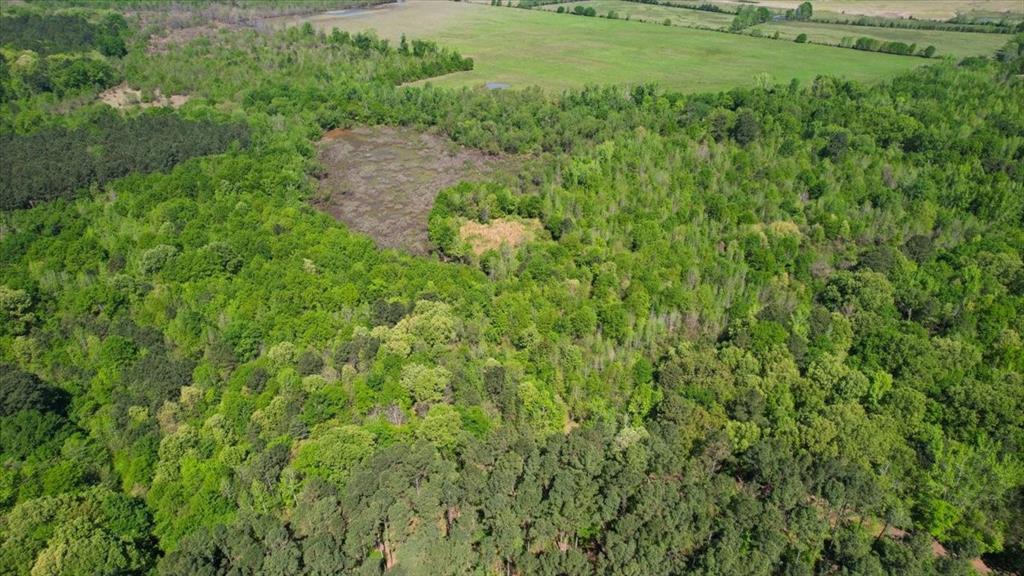 Tbd County Road 1143 Property Photo 13