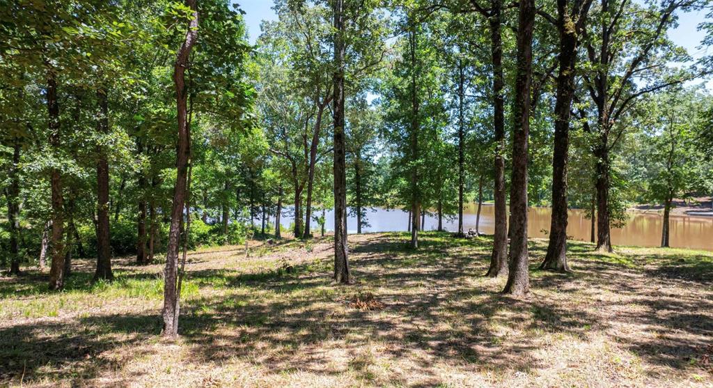 Tbd Pr 52415 Property Photo 6