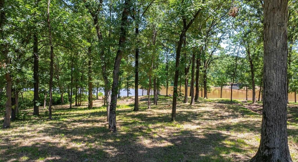 Tbd Pr 52415 Property Photo 15
