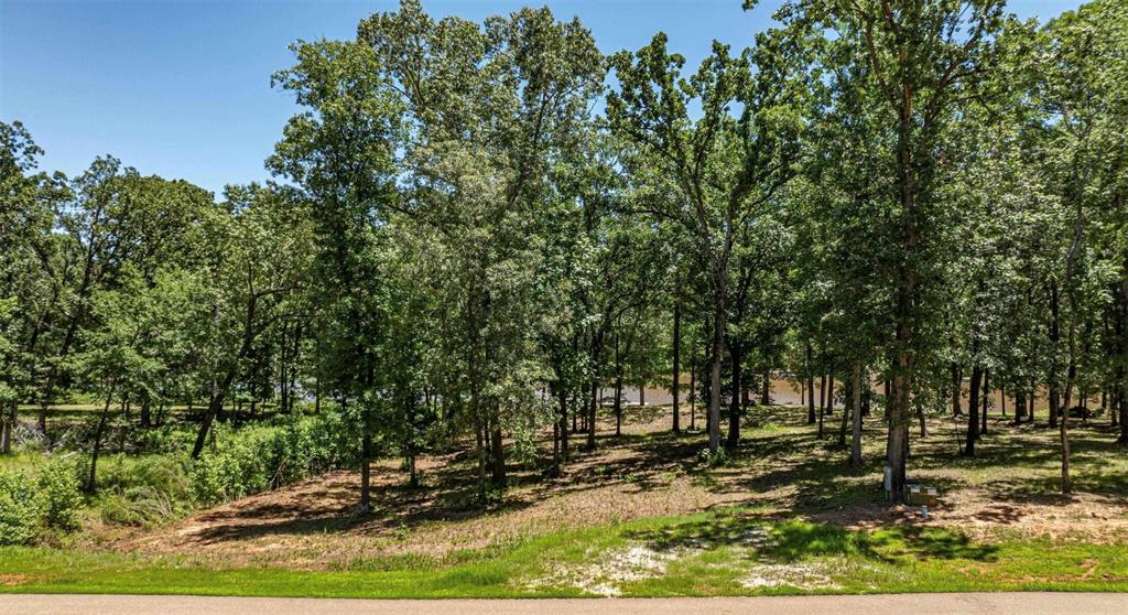 Tbd Pr 52415 Property Photo 23