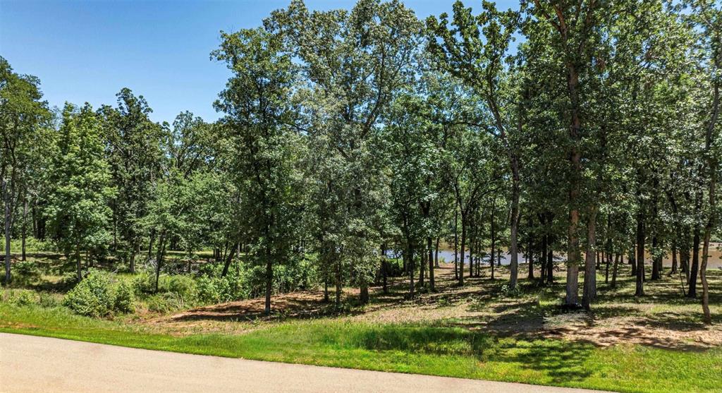 Tbd Pr 52415 Property Photo 24