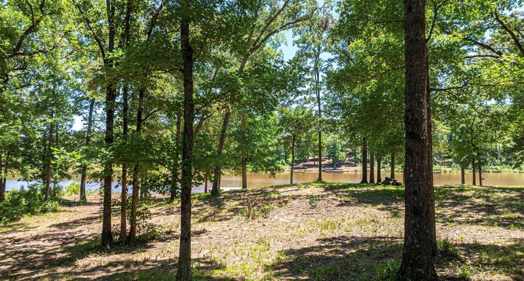 Tbd Pr 52415 Property Photo 25