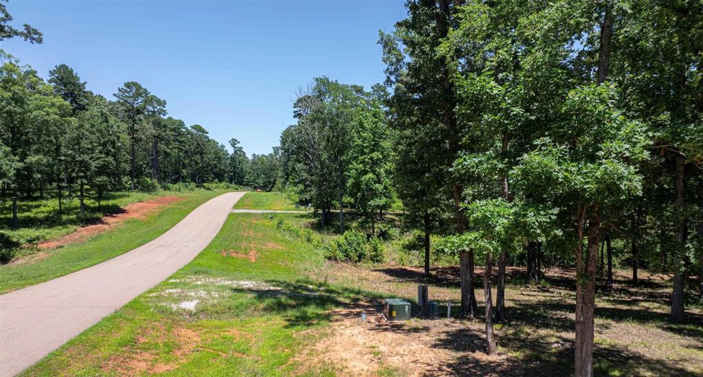 Tbd Pr 52415 Property Photo 26