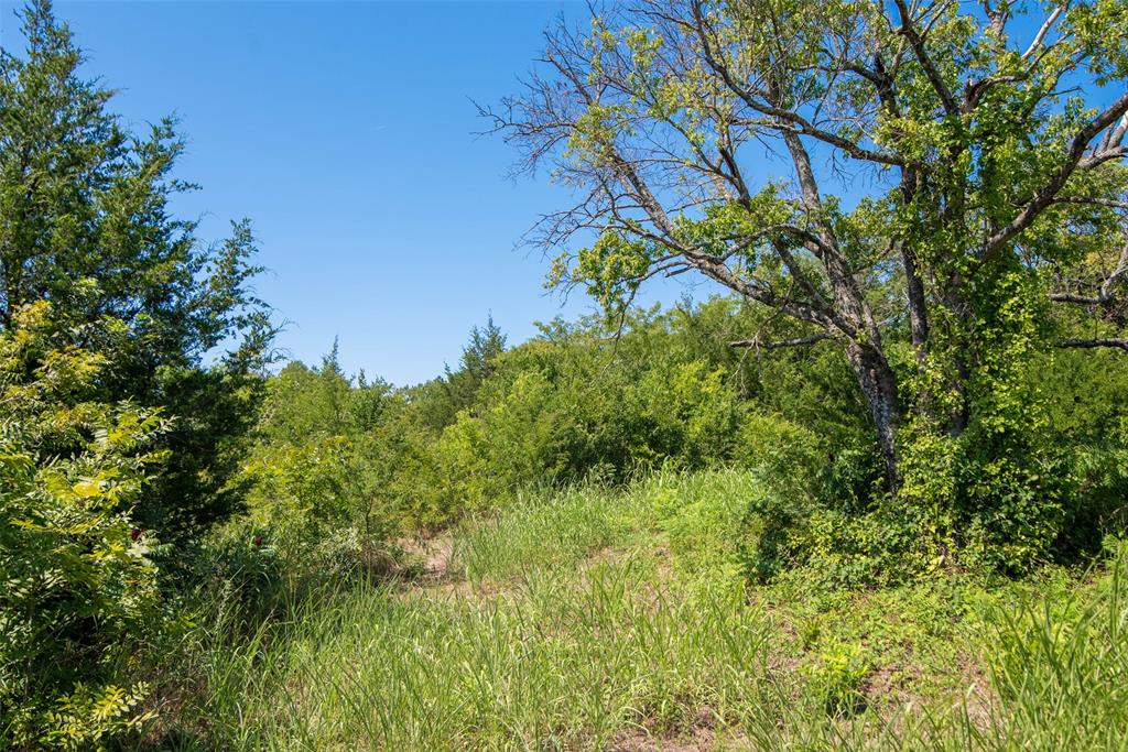 Tbd County Road 4515 Property Photo