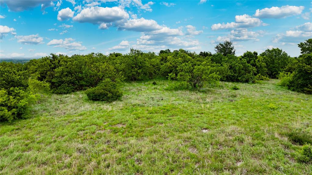 Tbd Mcdaniel Road Property Photo 21