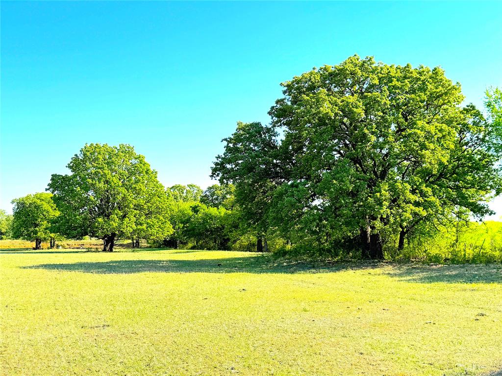 Tbd Mcmillan Road Property Photo