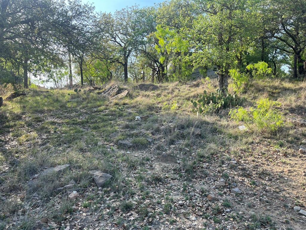 Tbd Oak Point Drive Property Photo