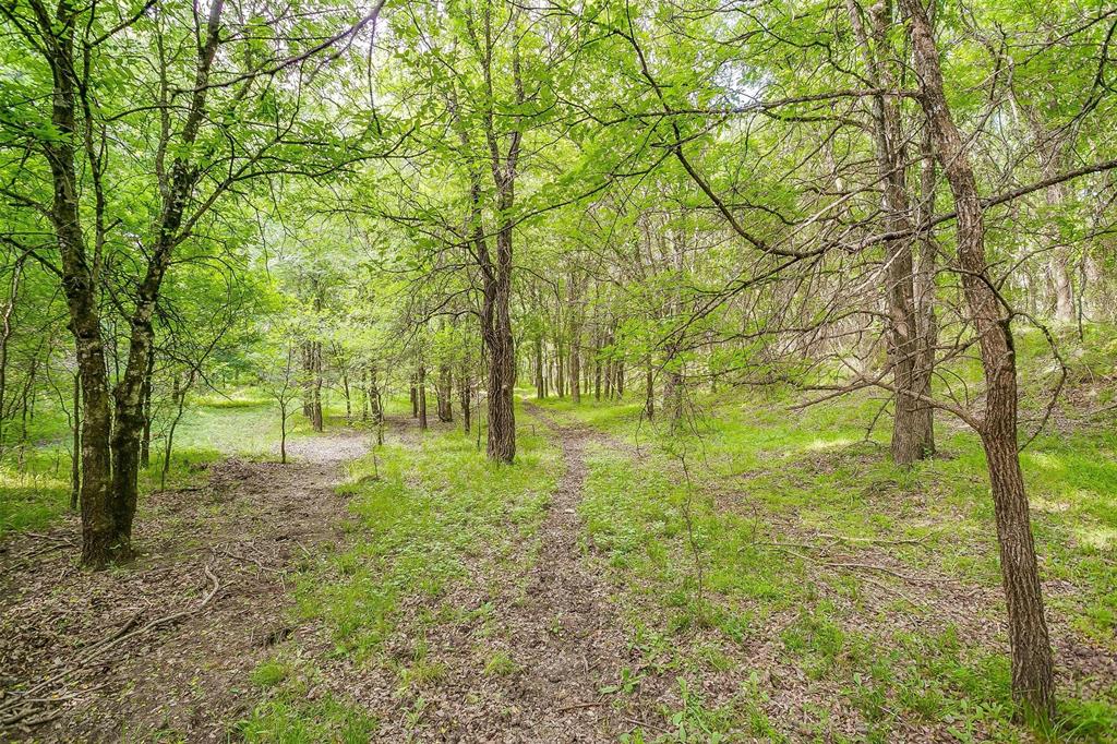 Tbd Tx-174 Property Photo 17