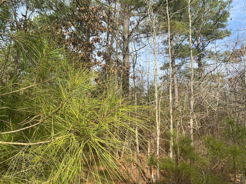 0000 Cr 2622 Property Photo 3